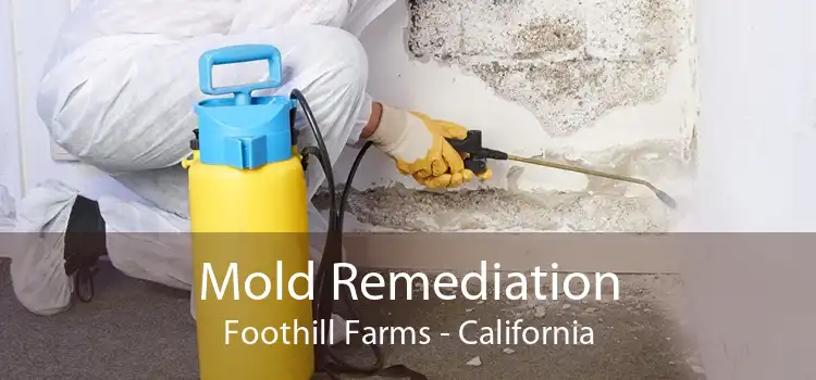 Mold Remediation Foothill Farms - California