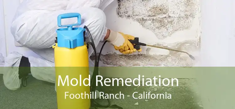 Mold Remediation Foothill Ranch - California
