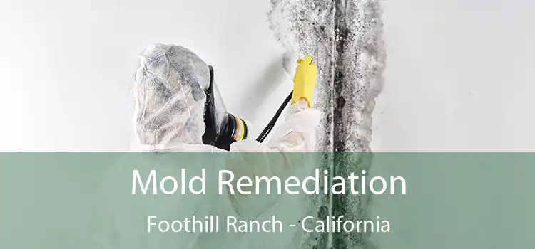 Mold Remediation Foothill Ranch - California