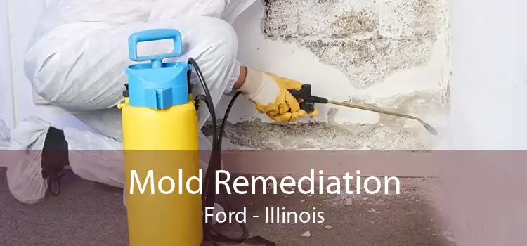 Mold Remediation Ford - Illinois