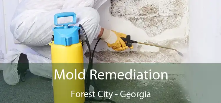 Mold Remediation Forest City - Georgia