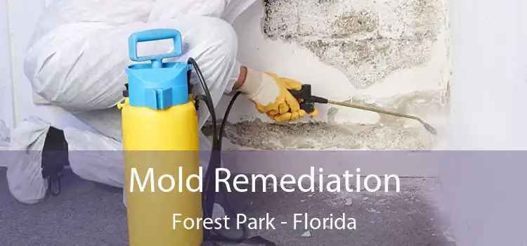 Mold Remediation Forest Park - Florida