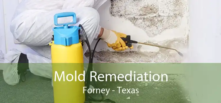 Mold Remediation Forney - Texas