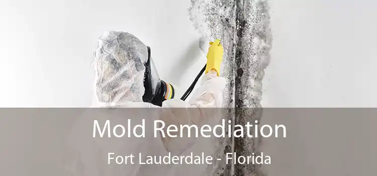 Mold Remediation Fort Lauderdale - Florida