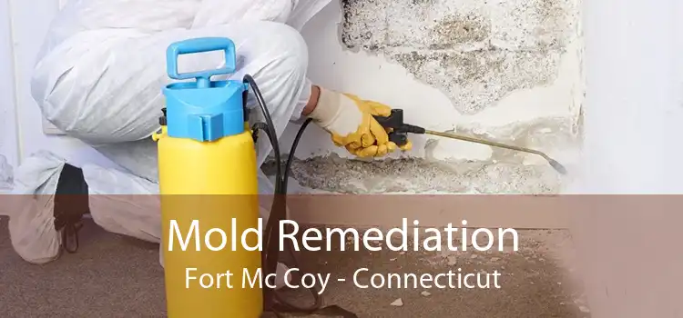 Mold Remediation Fort Mc Coy - Connecticut