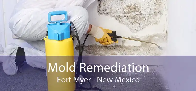 Mold Remediation Fort Myer - New Mexico