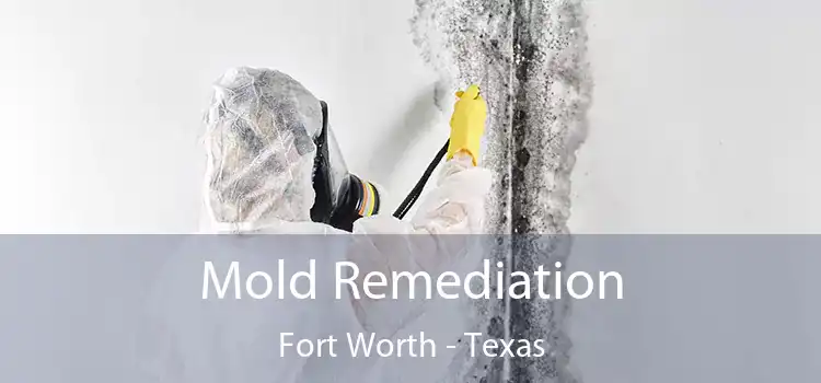 Mold Remediation Fort Worth - Texas