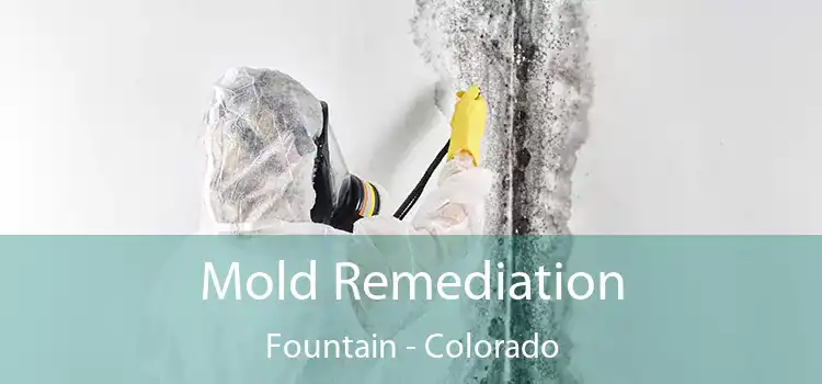 Mold Remediation Fountain - Colorado