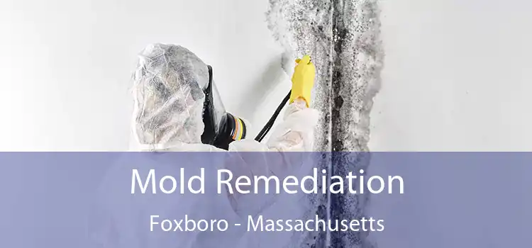 Mold Remediation Foxboro - Massachusetts