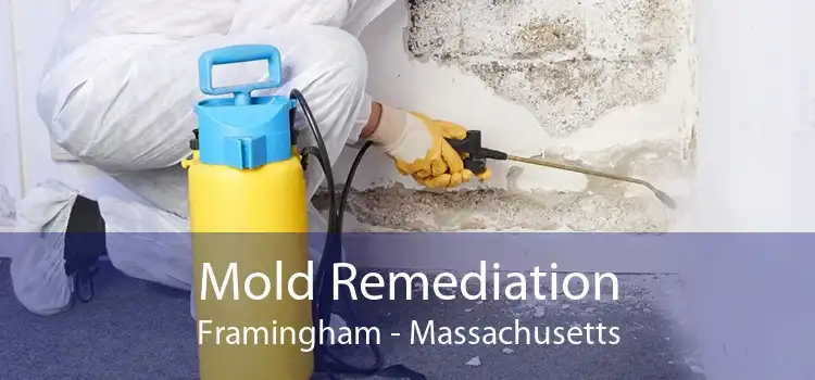 Mold Remediation Framingham - Massachusetts