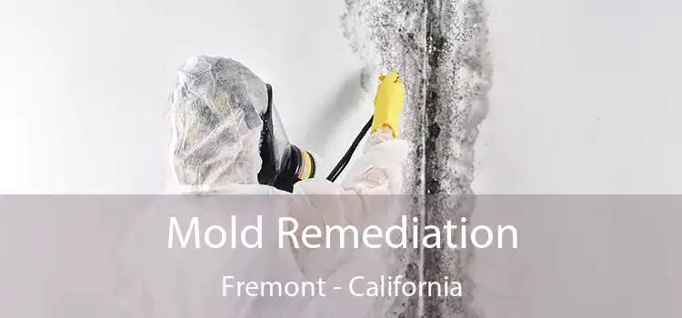 Mold Remediation Fremont - California