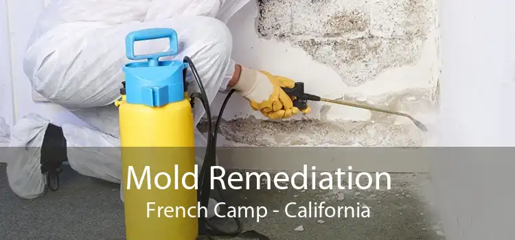 Mold Remediation French Camp - California