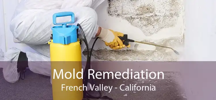 Mold Remediation French Valley - California