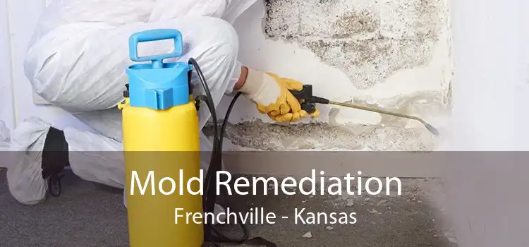 Mold Remediation Frenchville - Kansas