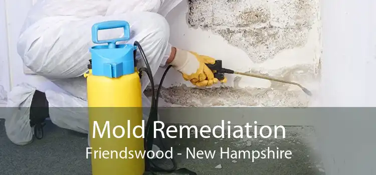 Mold Remediation Friendswood - New Hampshire