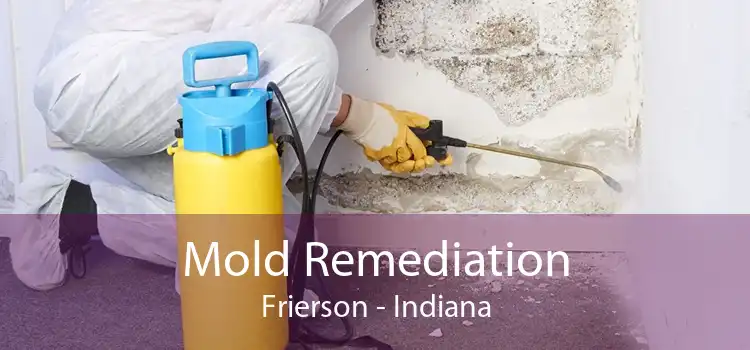 Mold Remediation Frierson - Indiana