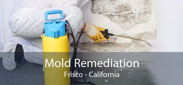 Mold Remediation Frisco - California