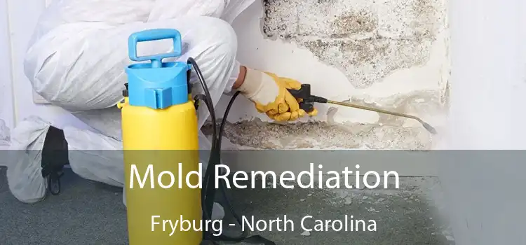 Mold Remediation Fryburg - North Carolina