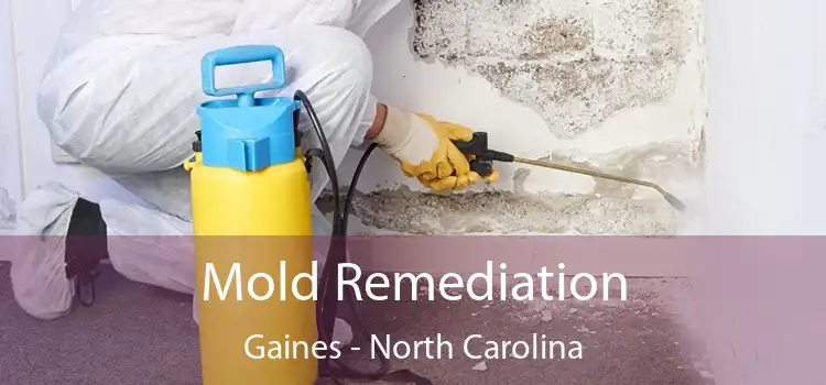 Mold Remediation Gaines - North Carolina