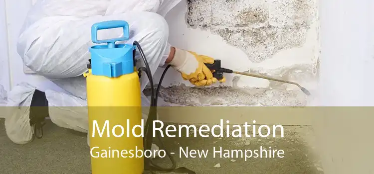 Mold Remediation Gainesboro - New Hampshire