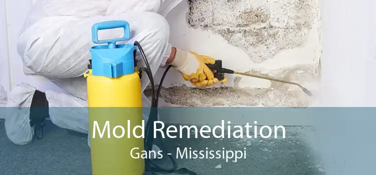 Mold Remediation Gans - Mississippi