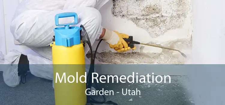 Mold Remediation Garden - Utah