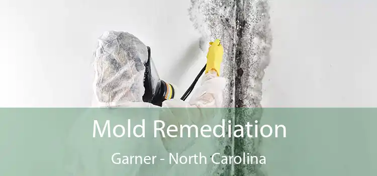 Mold Remediation Garner - North Carolina