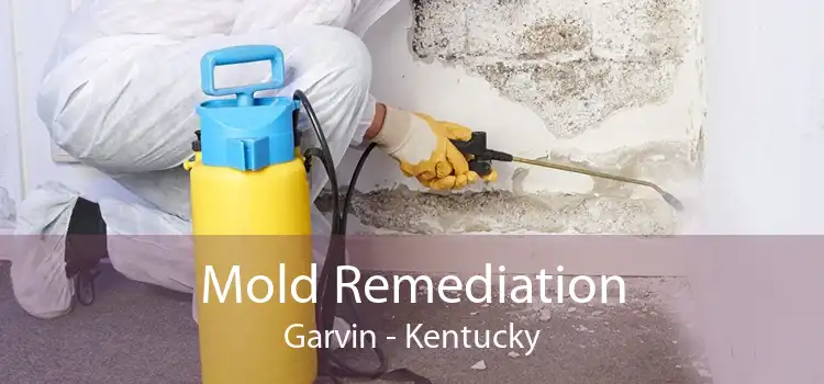 Mold Remediation Garvin - Kentucky