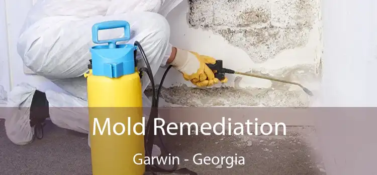 Mold Remediation Garwin - Georgia