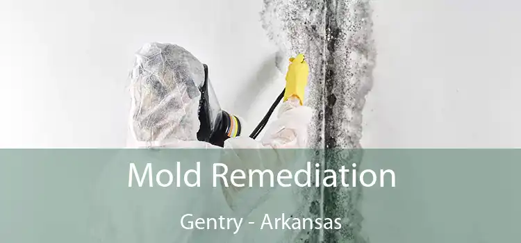 Mold Remediation Gentry - Arkansas