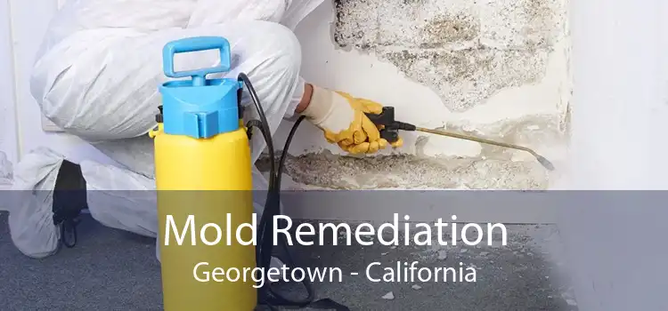 Mold Remediation Georgetown - California