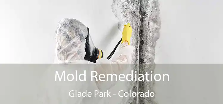 Mold Remediation Glade Park - Colorado