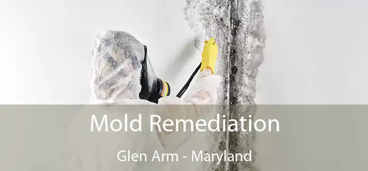 Mold Remediation Glen Arm - Maryland