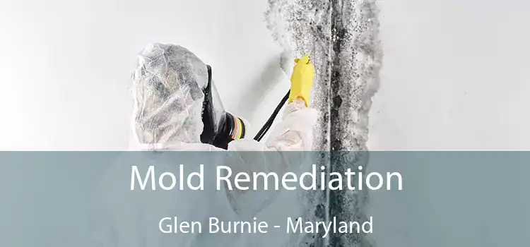 Mold Remediation Glen Burnie - Maryland