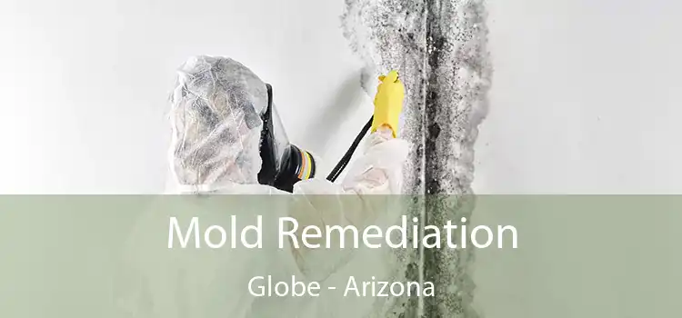 Mold Remediation Globe - Arizona