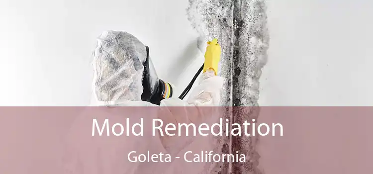 Mold Remediation Goleta - California