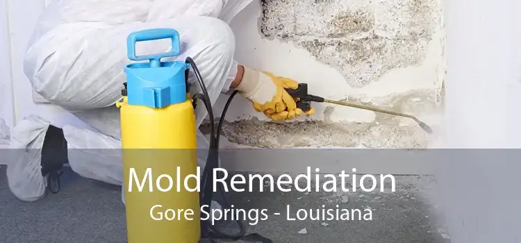 Mold Remediation Gore Springs - Louisiana