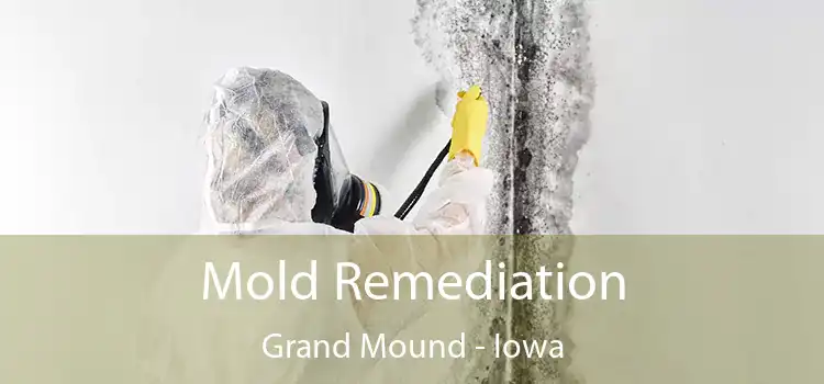 Mold Remediation Grand Mound - Iowa