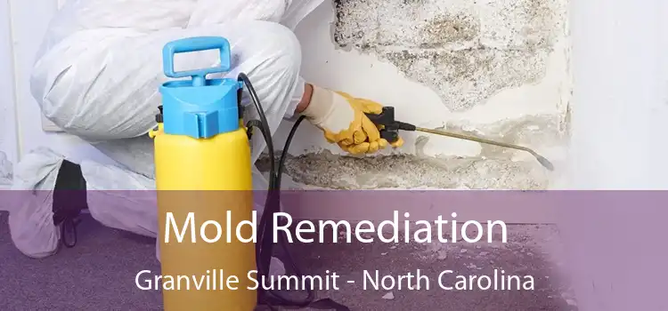 Mold Remediation Granville Summit - North Carolina