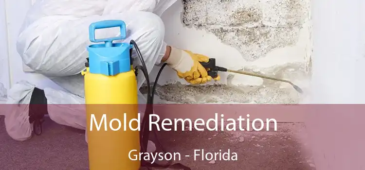 Mold Remediation Grayson - Florida