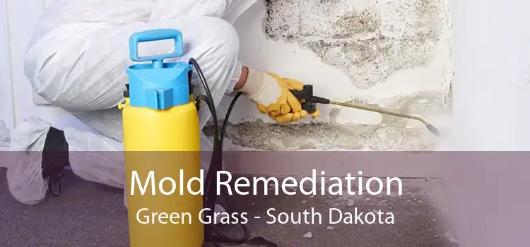 Mold Remediation Green Grass - South Dakota