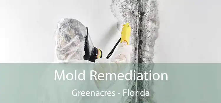 Mold Remediation Greenacres - Florida