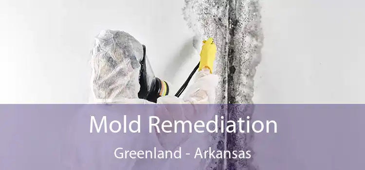 Mold Remediation Greenland - Arkansas