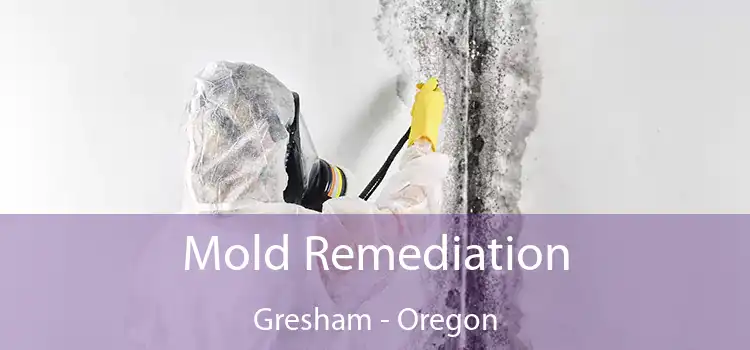 Mold Remediation Gresham - Oregon