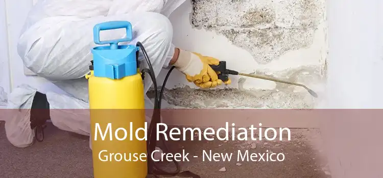 Mold Remediation Grouse Creek - New Mexico
