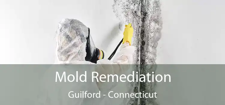 Mold Remediation Guilford - Connecticut