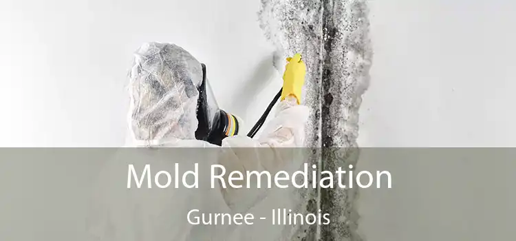 Mold Remediation Gurnee - Illinois