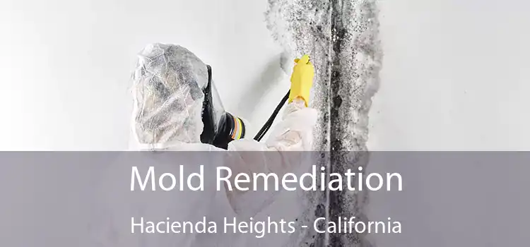 Mold Remediation Hacienda Heights - California