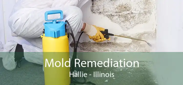 Mold Remediation Hallie - Illinois