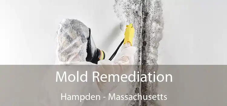 Mold Remediation Hampden - Massachusetts